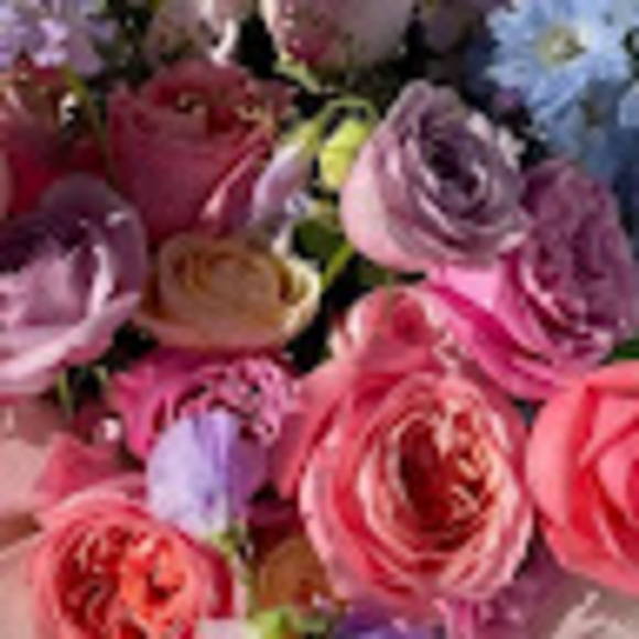 Meet your Posher, Anne - Picture 1 of 1